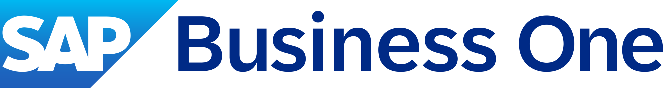 SAP Business One