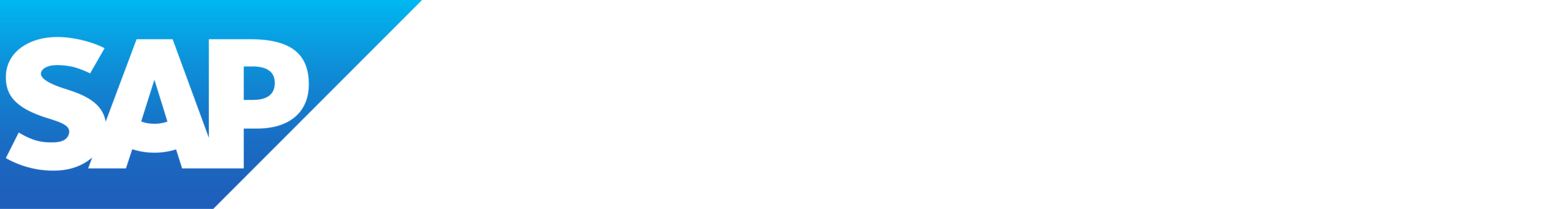 Logo SAP Business One em versão branca